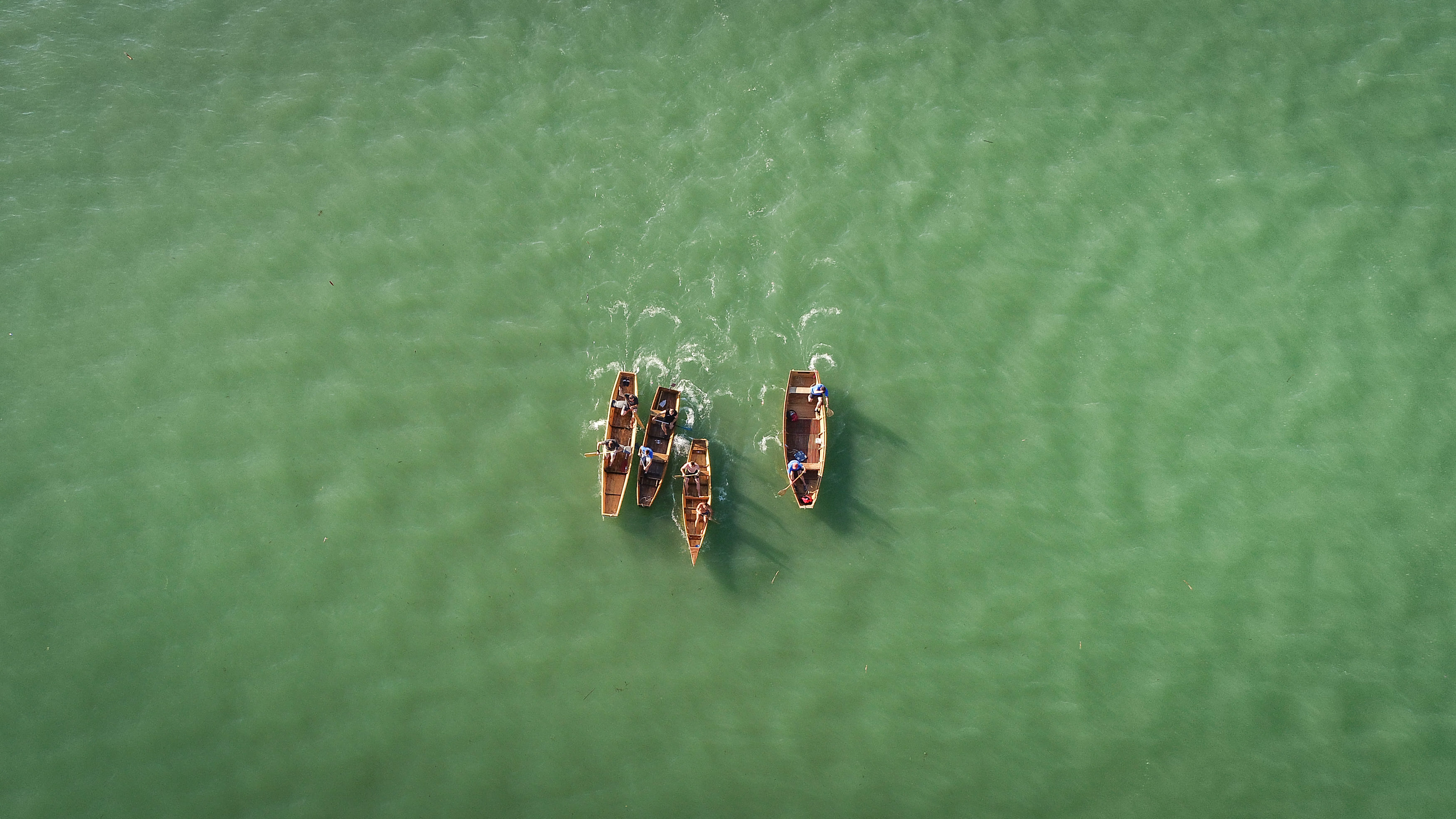 LOV NA LABUĐE PERO 2024.